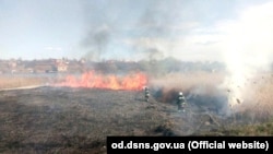 У Держагентстві нагадали, що підпал сухої трави чи сміття є адміністративним порушенням і карається законом
