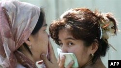 Сариоғочлик Маҳмуд аканинг ишончига кўра¸ эр уйда ўз хўжайинлигини ўрнатиш учун¸ хотинини мунтазам уриб туриши керак.