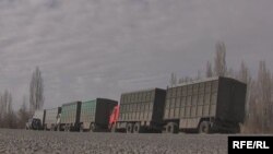 عکس تزیینی است