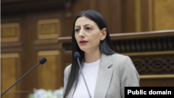 Մարդու իրավունքների պաշտպան Անահիտ Մանասյան, արխիվ