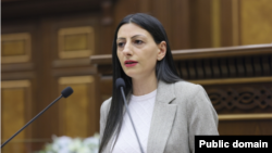 Մարդու իրավունքների պաշտպան Անահիտ Մանասյան, արխիվ