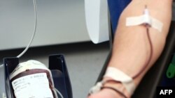 Цель устроителей выставки -убедить общество в необходимости сдачи донорской крови