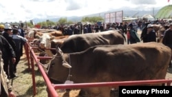 Иллюстрация.  Ысык-Көл облусу, 2016-жыл. 