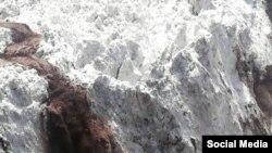 Пораи "Гӯри кампир" дар акси Мустаони Ваҳҳоб. 11 июли соли 2017