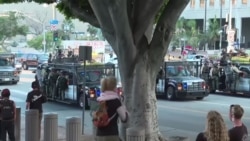 Мигранттардын митинги: Лос-Анжелеске армия кирди