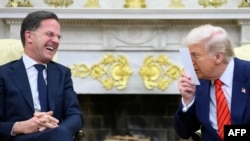 Розмова президент США Трампа вз Генеральним секретарем НАТО Рютте в Овальному кабінеті Білого дому. Вашингтон. 13 березня 2025 року