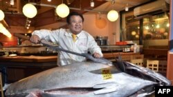 Киёси Кимура. "Sushi-Zanmai" деп аталган ресторандар тармагынын ээси. 222 килограммдык балыкты тазалоо жолун көрсөтүп жаткан учуру. Жапония. 5-январь, 2012-жыл.