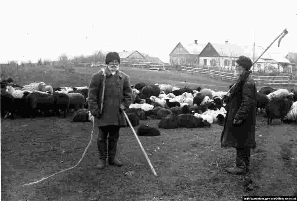 Перші колгоспники сільгоспартілі імені Д. Бєдного в селі Удачне Гришинського району