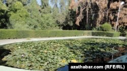 Aşgabadyň Botanika bagynda, 2011-nji ýylyň sentýabr aýy.