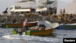 قاچاقچیان ایرانی در سواحل عمان، عکس تزئینی است