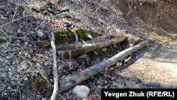 Eki-Tekne çoqrağı