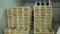 Кыргызстандагы соода-логистикалык борборлордун биринин кампасында сакталган товар.