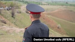 Иллюстрациялык сүрөт. 