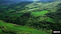 نمایی از جنگل‌های هیرکانی در استان گلستان