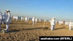 Türkmenistanda agaç ekiş kampaniýasy ýylda iki gezek geçirilýär. 8-nji noýabr, 2025.