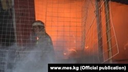 Иллюстрация. 