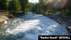 Иллюстративное фото