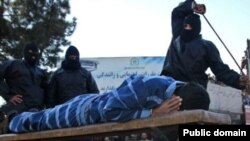 عکس آرشیوی است