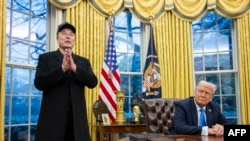 Илон Маск менен Дональд Трамп, архивдик сүрөт.