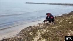 Иллюстративное фото