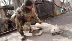 Сапер «Вовк» про мінні війни поблизу Широкино