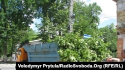 Зрізані дерева, Сімферополь, 23 червня 2011 року