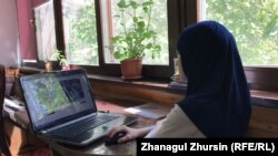 Иллюстратив фото