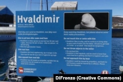 Табличка в гавані Хаммерфест