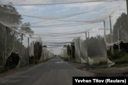 Протидронові сітки встановлені над дорогою поблизу прифронтового міста Костянтинівка. Донецька область, Україна, 24 серпня 2025 року