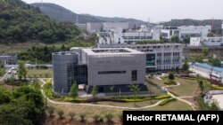 Չինաստան - Վուհանի լաբորատորիան, արխիվ