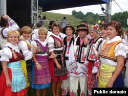 Більшість русинів називають рідною мовою угорську