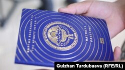 Иллюстрациялык сүрөт. 