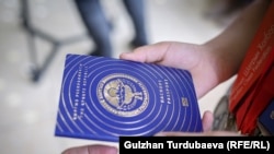 Кыргызстандын паспорту. Иллюстрациялык сүрөт.