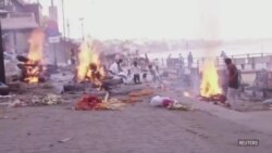 COVID-19: Индиядагы апаат