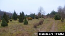 Падрастае беларускае