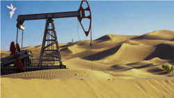 Мұнайдың жолында су құрбан. Көкжидедегі қорға қауіп бар ма?