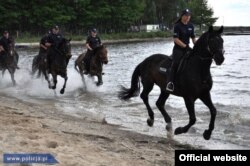 Кінна поліція