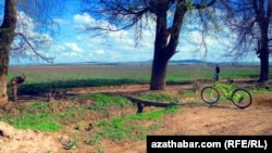 Lebapda ekerançylyk bilen meşgullanýan hojalyklar mineral dökün ýetmezçiliginden şikaýat edýärler. Illýustrasiýa suraty. 
