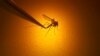 U.S. - Salt Lake City Mosquito Abatement District biologist Nadja Reissen examines a mosquito possibly carrying West Nile virus in Salt Lake City, August 26, 2019. 