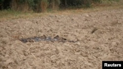 Часткі пашкоджанага бесьпілётніка, зьбітага польскімі вайскоўцамі. Вёска Замосьць, 10 верасьня 2025 года.