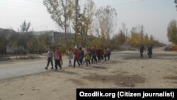 Andijon viloyati Ulug‘nor tumanidagi 13-maktab o‘quvchilari o‘qituvchilari nazoratida paxtaga ketmoqda. 3 noyabr, 2017 yil.