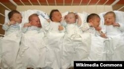 Босни а, ХIерцеговина а -- хIинцца дина бераш