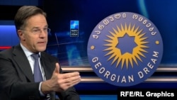 Марк Рютте, коллаж