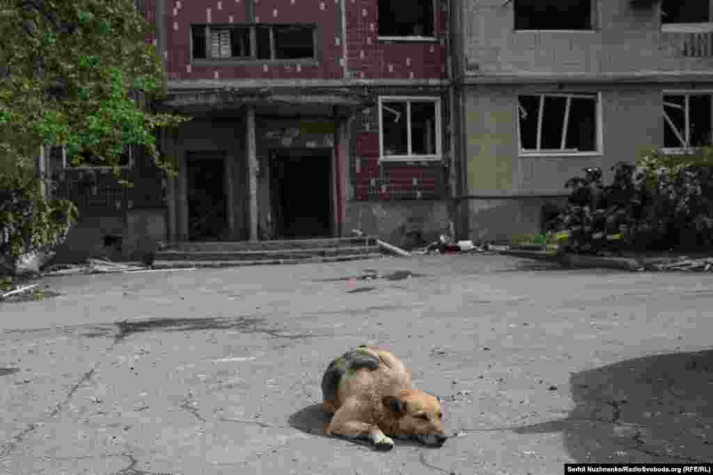 Влада спільно з волонтерськими організаціями інформує містян про евакуацію. Та більшість літніх людей не знають, що є шелтери для евакуйованих. Вони орієнтуються на досвід людей, які повернулися в місто, та вважають, що їхати у невизначеність – це погано