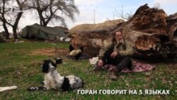 Правила жизни Горана