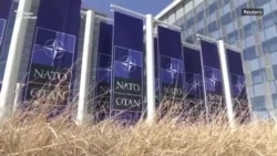 НАТО у ворот. Угрожает ли России расширение альянса?