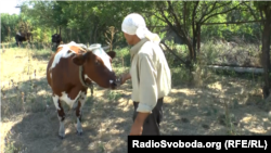 Гірник Євген змушений працювати пастухом
