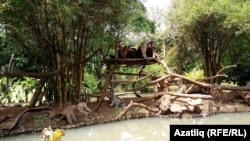 Лемур паркы