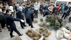 Ринок в південному китайському місті Гуанчжоу був очищений від цивет у 2004 році