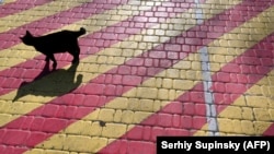 Зокрема, 6 березня середньодобова температура повітря виявилась найвищою за час проведення спостережень для цієї дати і склала 11,9 